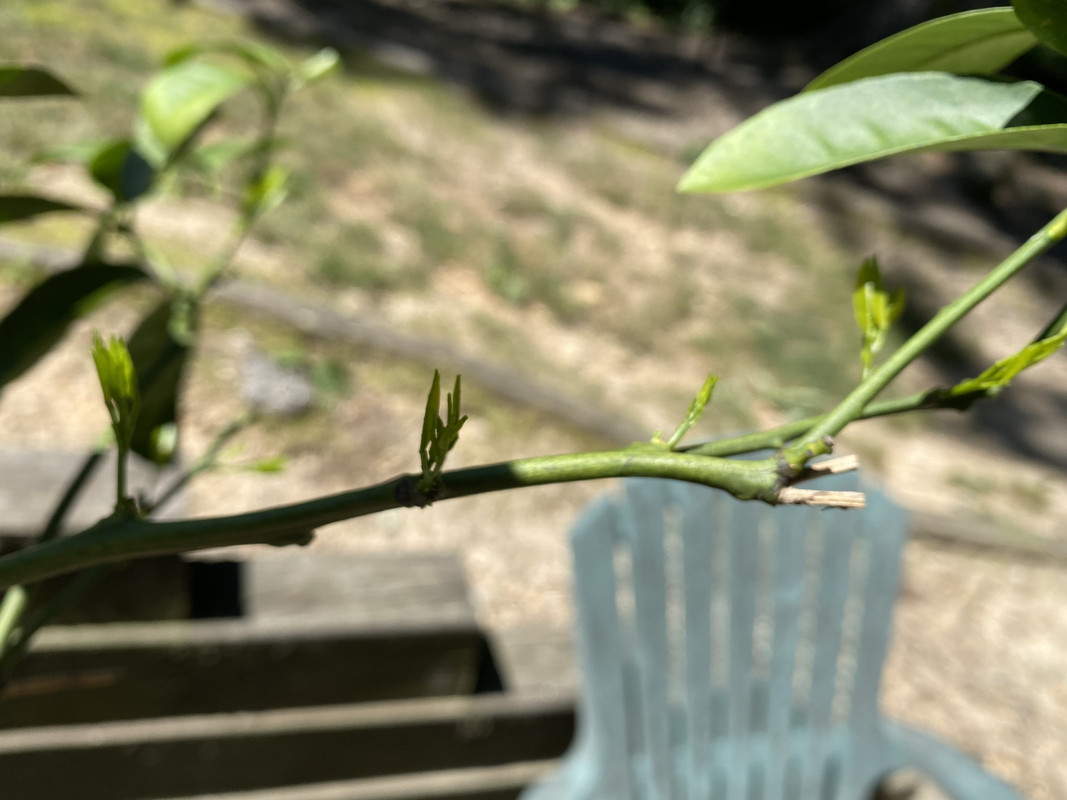 9E03DAE9-E6EC-4DEC-8430-FF6A76991BAC