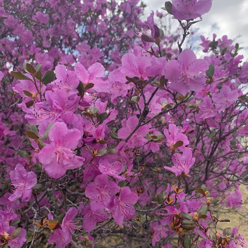 A4B196F8-14EB-4F56-915F-5E87BA509D67