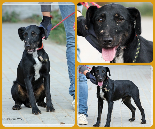 BeFunky-collage (21)