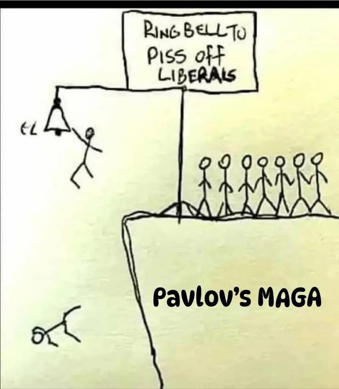 FB_IMG_1739046121032