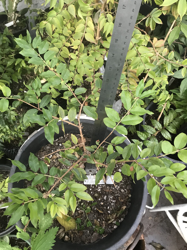 2CD9F72E-3F06-4D63-ACE0-565A7FA995FC