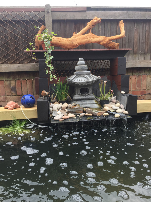 B9DDDAB5-30B2-4473-A153-C99BDF4D6065