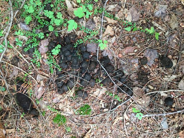 2B8FDC9D-1BDE-4948-B509-E5A65184B1D8