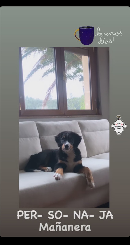 Screenshot_20210118_132239