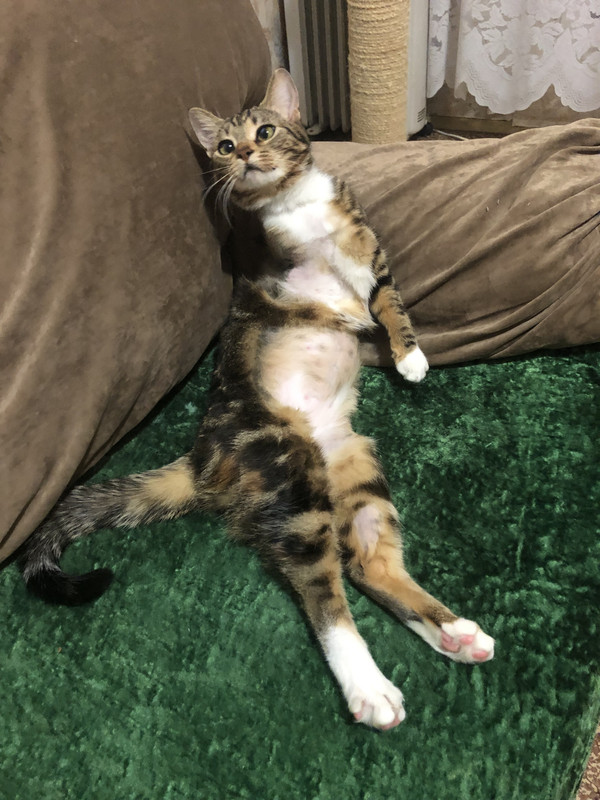 9E4E9AFB-C897-4857-82DE-E85A9BBE3523