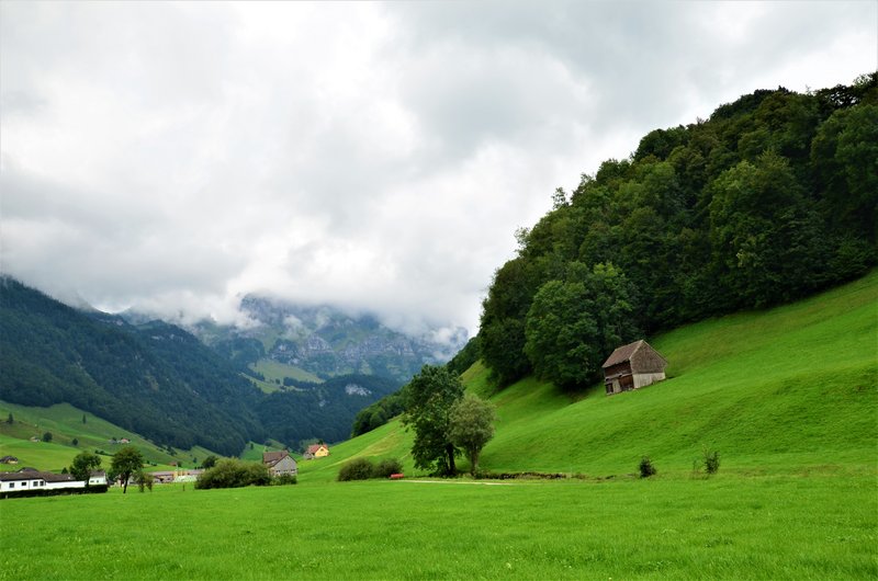 Suiza y sus pueblos-2019 - Blogs de Suiza - APPENZELL-6-9-2019 (21)