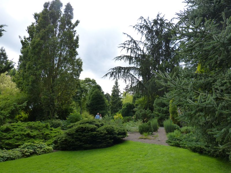 2014-07-13 Arboretum Härle 7