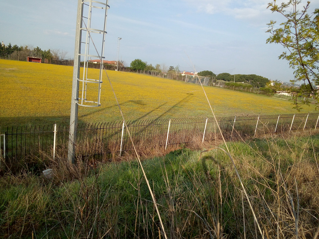 IMG-20210403-085250.jpg