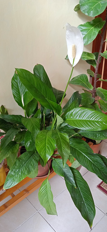 IMG_20230220_113153[1]