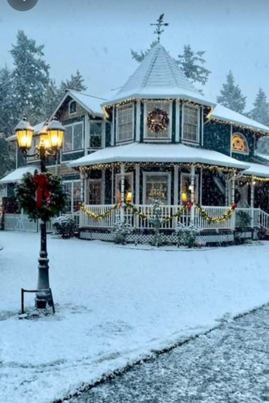 Screenshot_20231211_172617_Pinterest