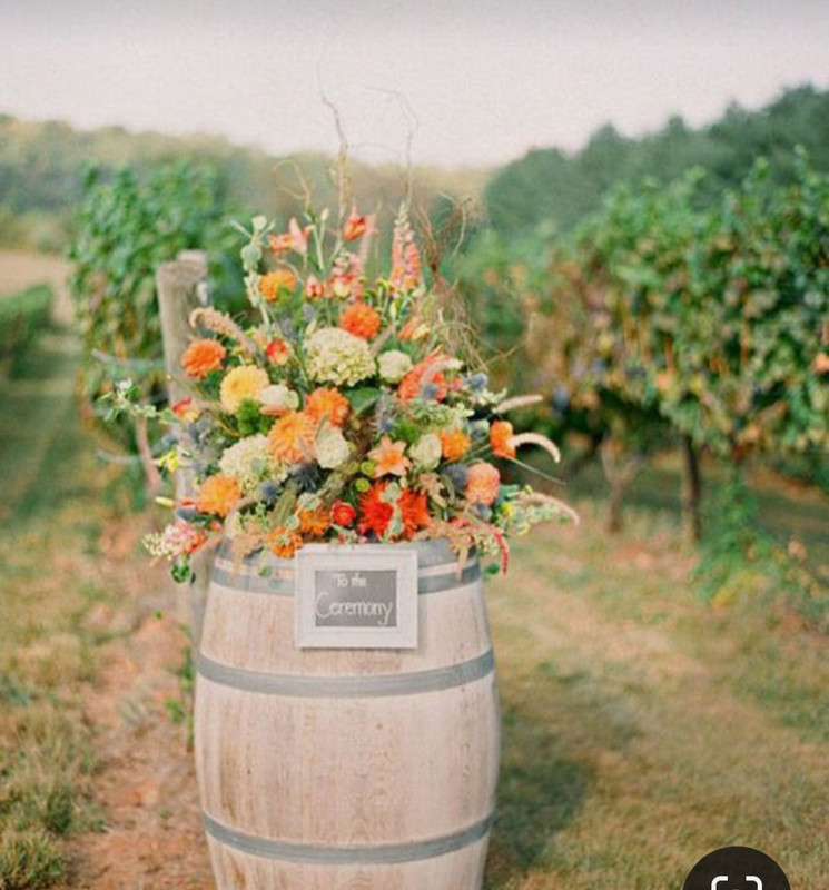 Screenshot_20240402_231529_Pinterest