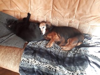 [Image: received-702969290201338.jpg]