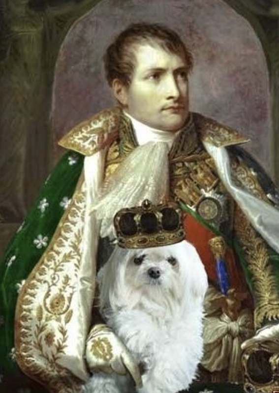 Napoleon Bonaparte
