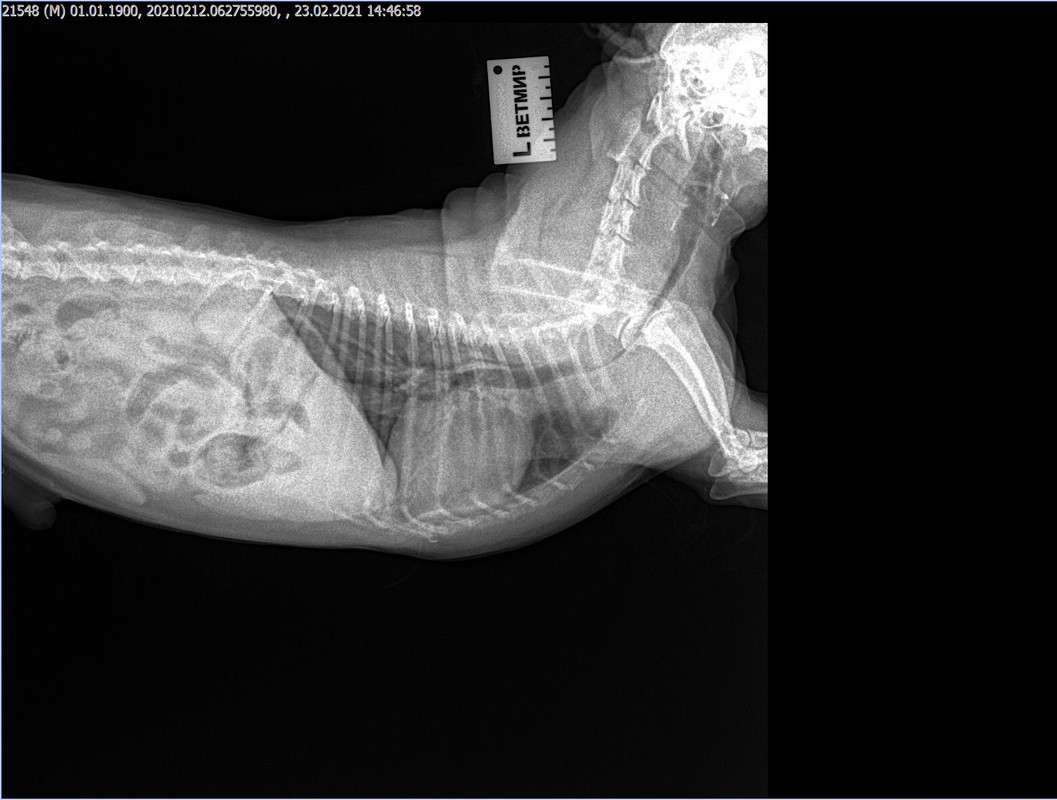 33DE2F77-9228-4696-9A12-1DE787EC63F2