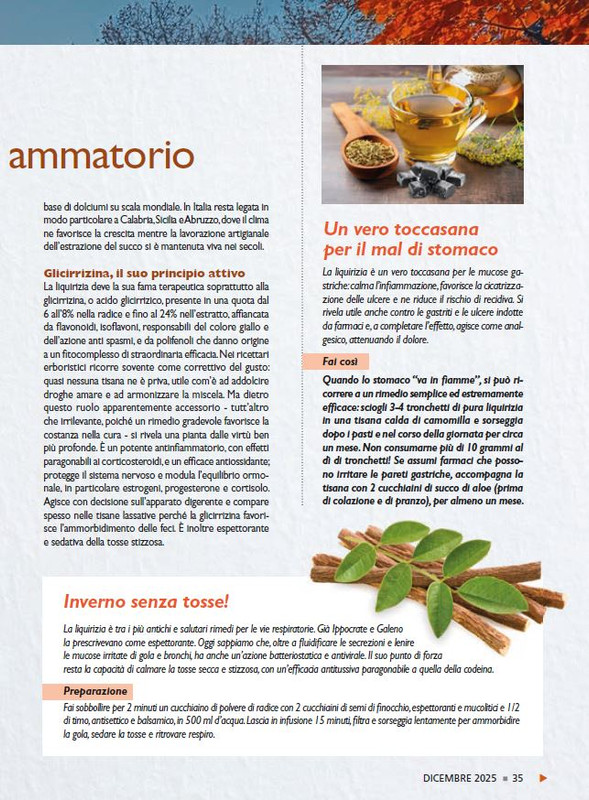 Sal Nat Dic 2025 (4)