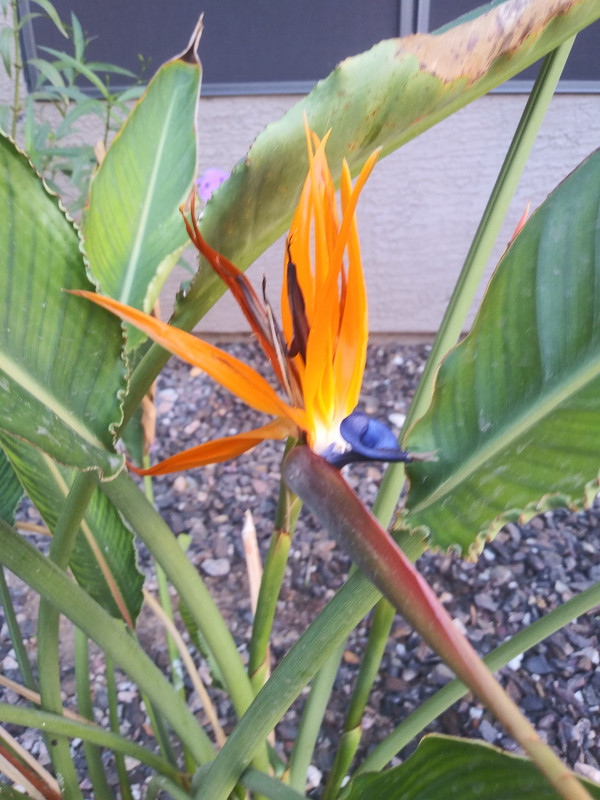 20191110_130005