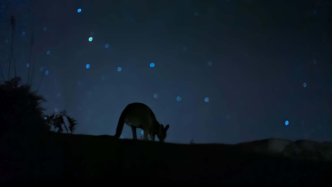 vlcsnap-2021-04-16-02h58m38s391