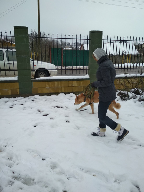 изображение_viber_2019-12-31_13-23-31