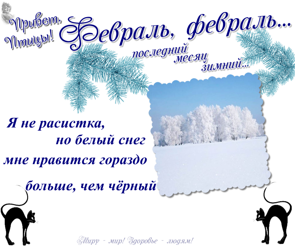 https://i.postimg.cc/hvZyRr7v/20-02.png