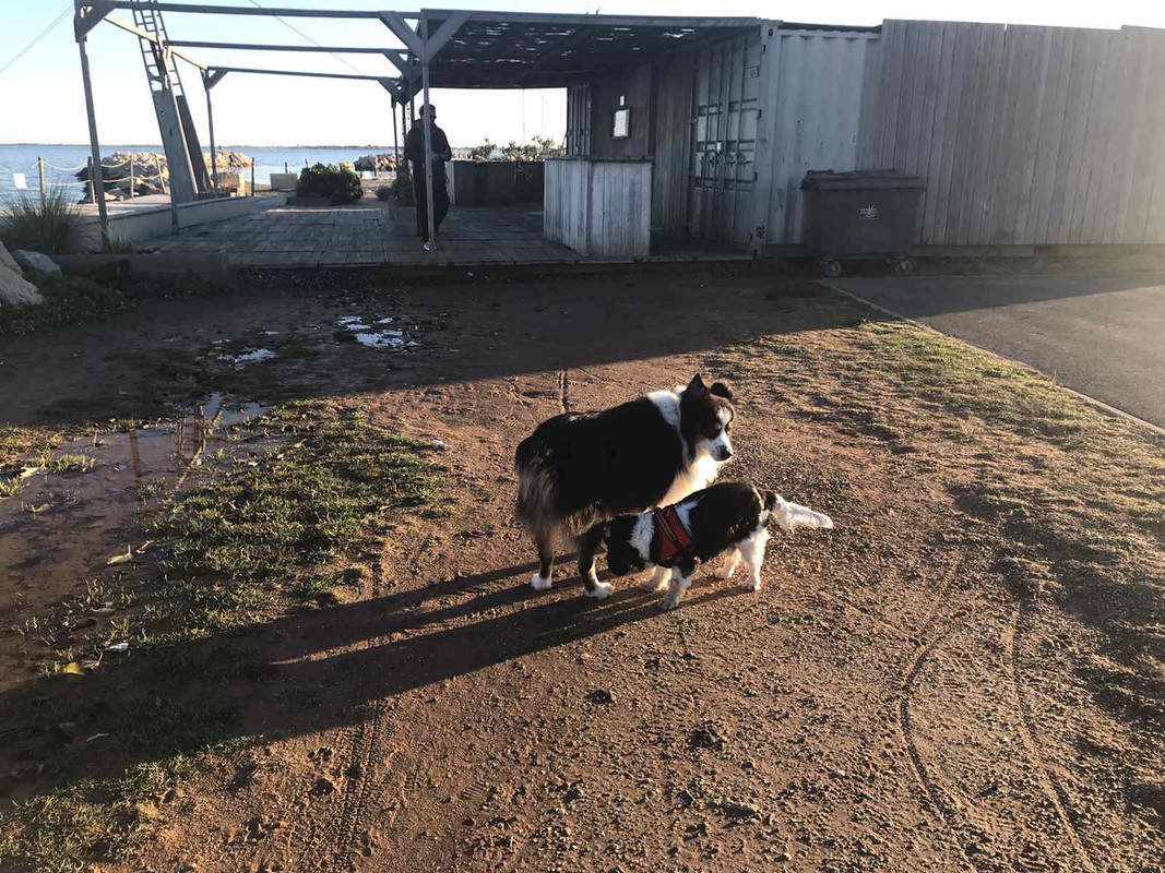 28105406-8BDF-421C-8E05-AA58C4C0A8A6