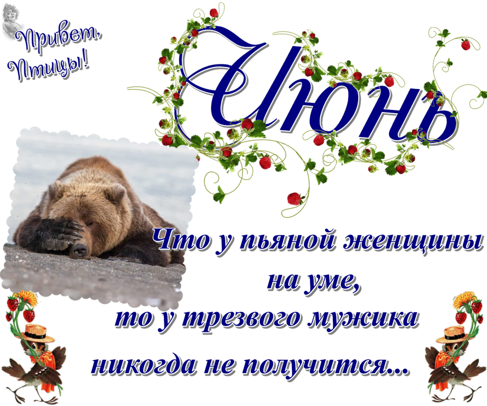https://i.postimg.cc/hvb27Gfh/19-06.png