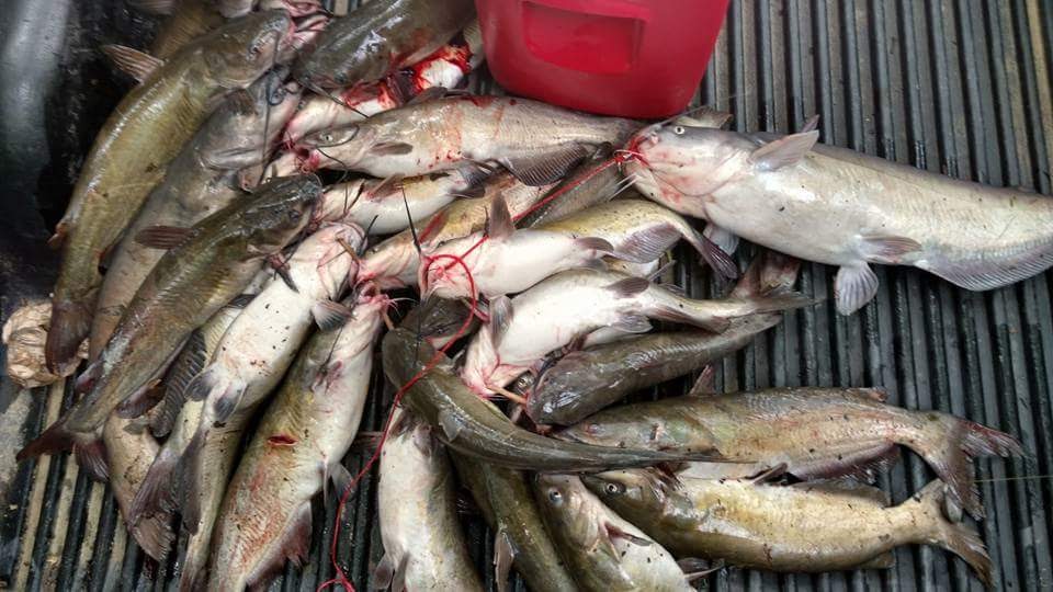 8006A3E7-2031-47E4-A8B5-9400F4251A6C