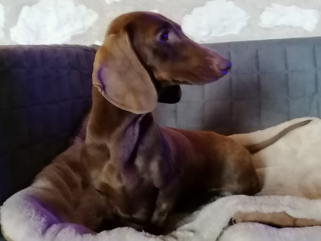 [Image: IMG-20211120-WA0003.jpg]