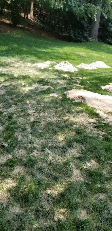 image-20190727_133110