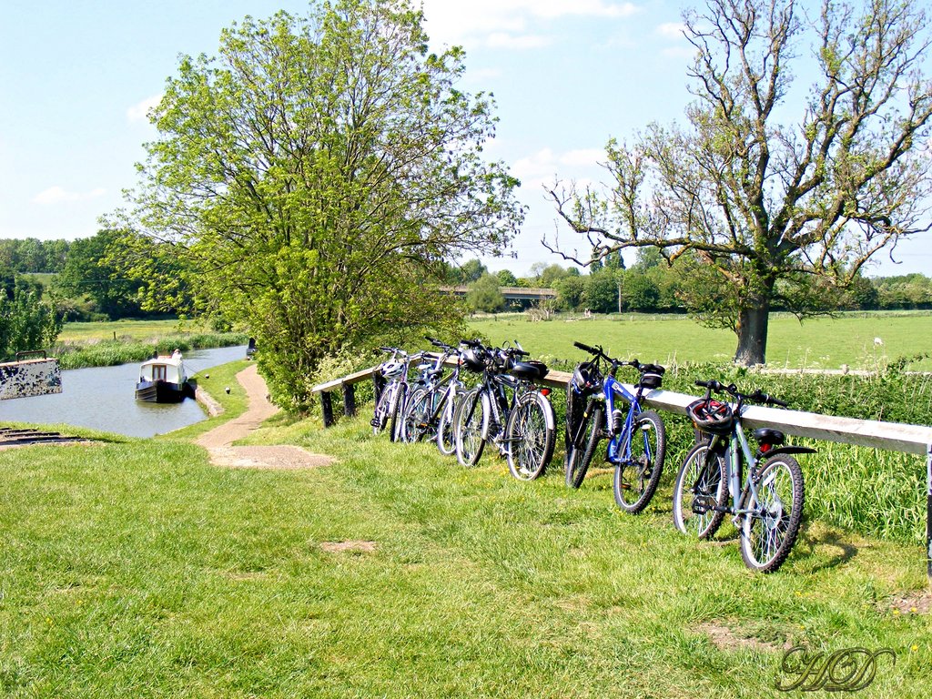 Boat-canal-bikes-sheep-HD.jpg
