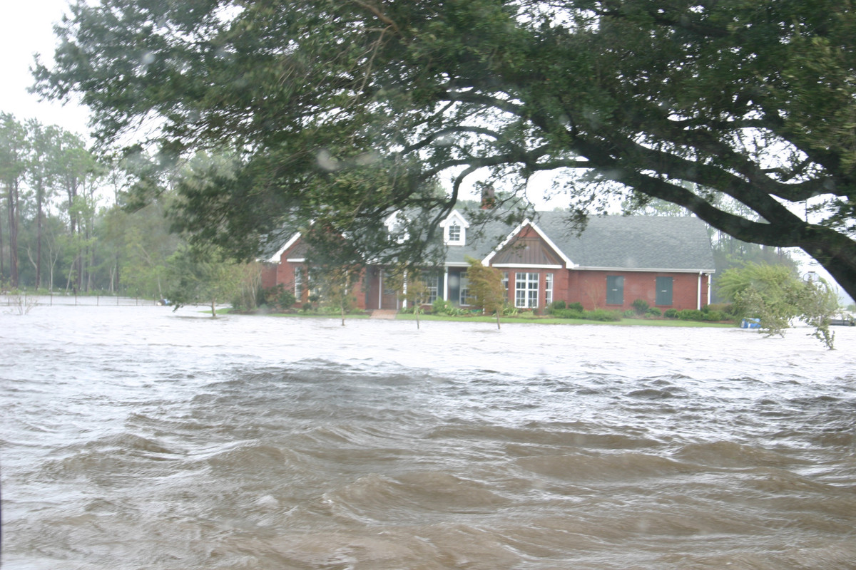 974B434A-AA0E-460C-B10B-7B076B5FF793