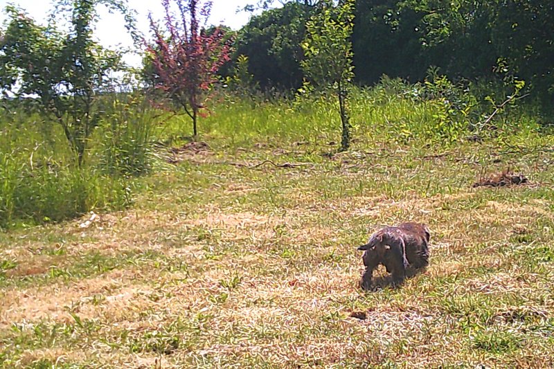 [Image: DSCF0013.jpg]