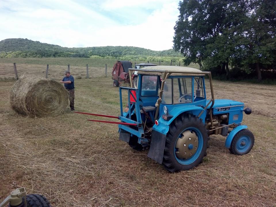 19554968_1840583605968562_8479435366532082947_n