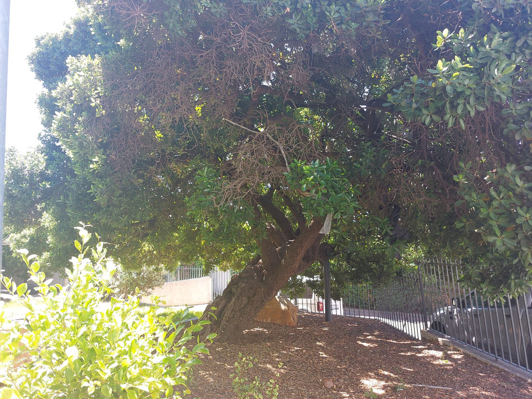 IMG-20250122-WA0277