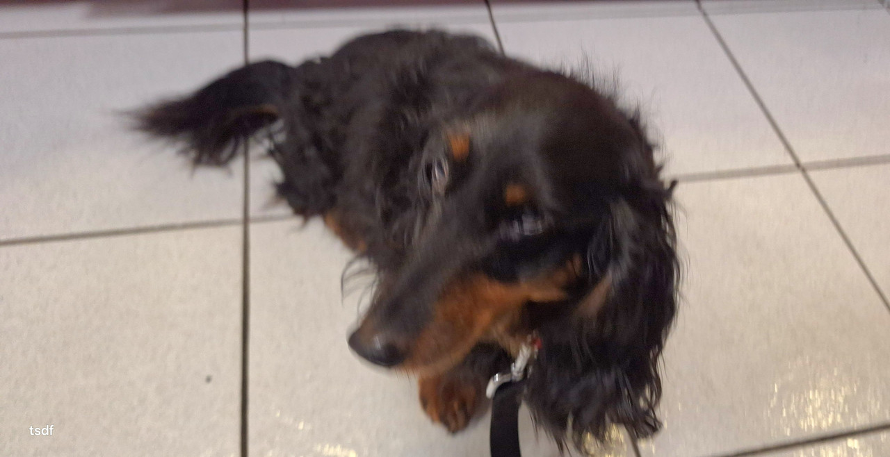 [Image: 20250317-160327.jpg]