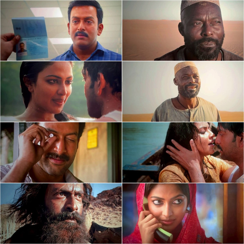Aadujeevitham The Goat Life (2024) Dual Audio [Hindi + Malayalam] Full Movie HDTS