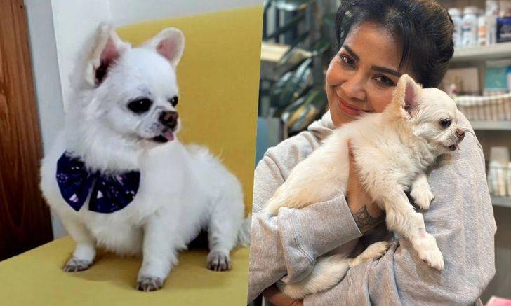 w1200-2024-05-26-T153041-022