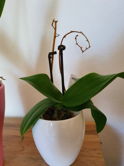 [Image: 20200612-114326.jpg]