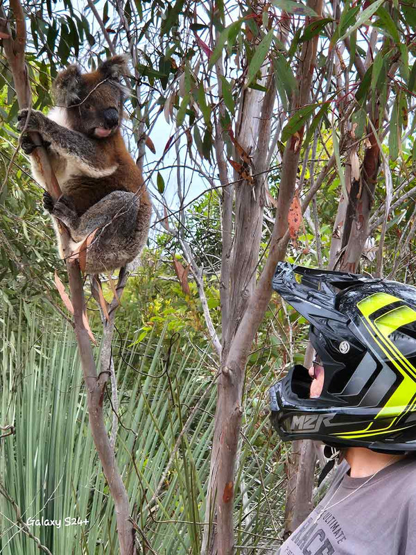 …and some idiot in a crash helmet