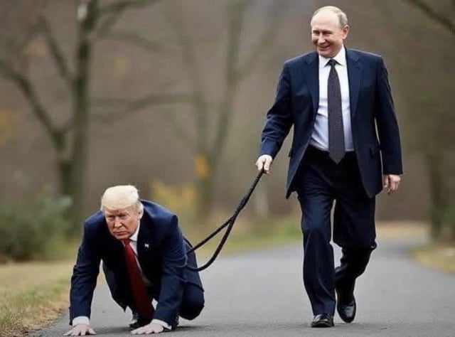 [Kép: putin-and-his-puppet-dog-v0-gfyk2v6rt5ke1.jpg]