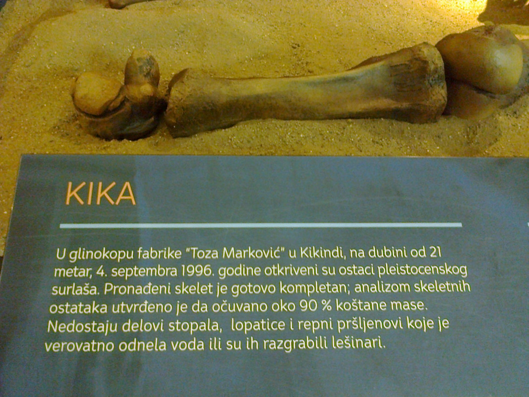 KIKA i ekipa iz doba YUGOsaurusa ... Fotografija3477