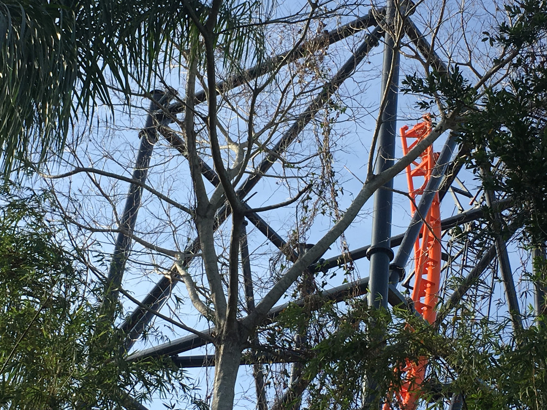 50A6AFC7-2472-47D2-9012-8EBC940F3ED6