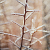 Stock-3643