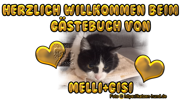 Gästebuch Banner - verlinkt mit https://katzen-hund.de