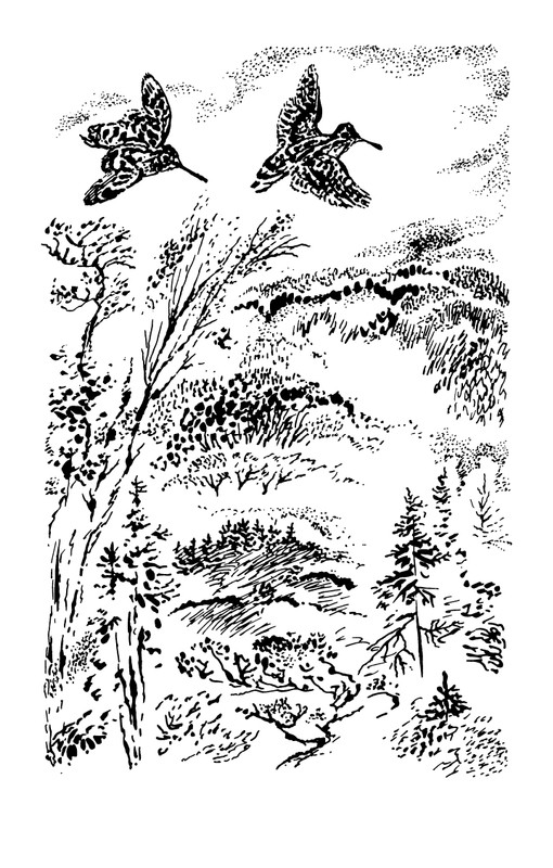1993-page-0018