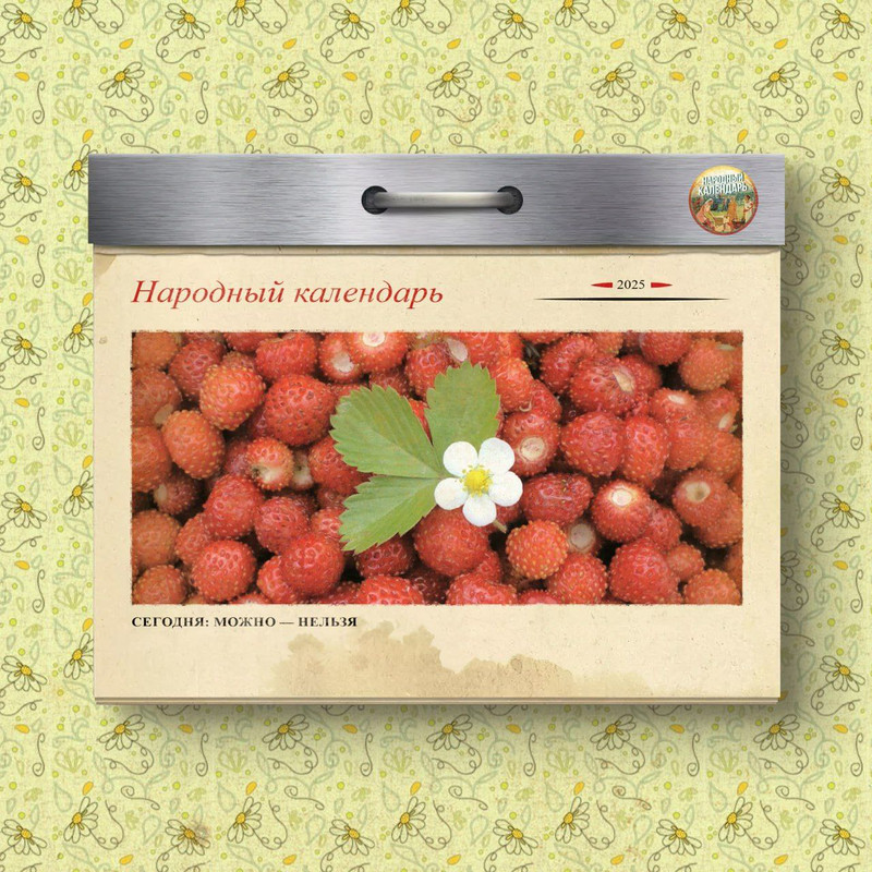 [Изображение: photo-2025-07-09-10-50-06.jpg]