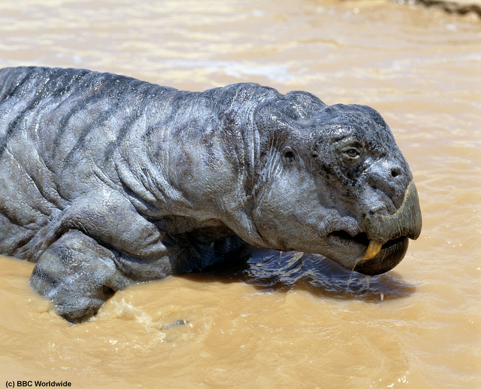 MV5BMTQ1MTE5Mzg2OV5BMl5BanBnXkFtZTgwNDI2NTMwMjE@._V1_