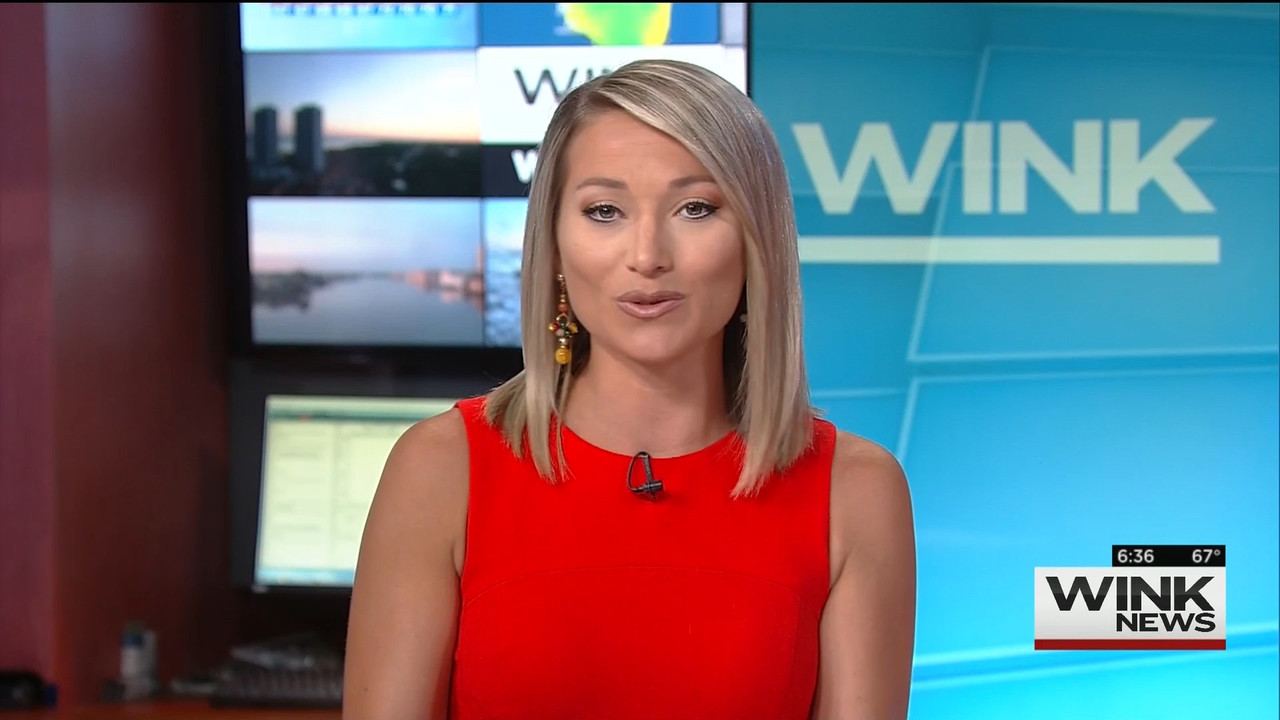 03 May - 11.00.00 - WINK News @ 6 00AM Sunday..ts_snapshot_00.39.52_[2020.05.03_15.57.42]