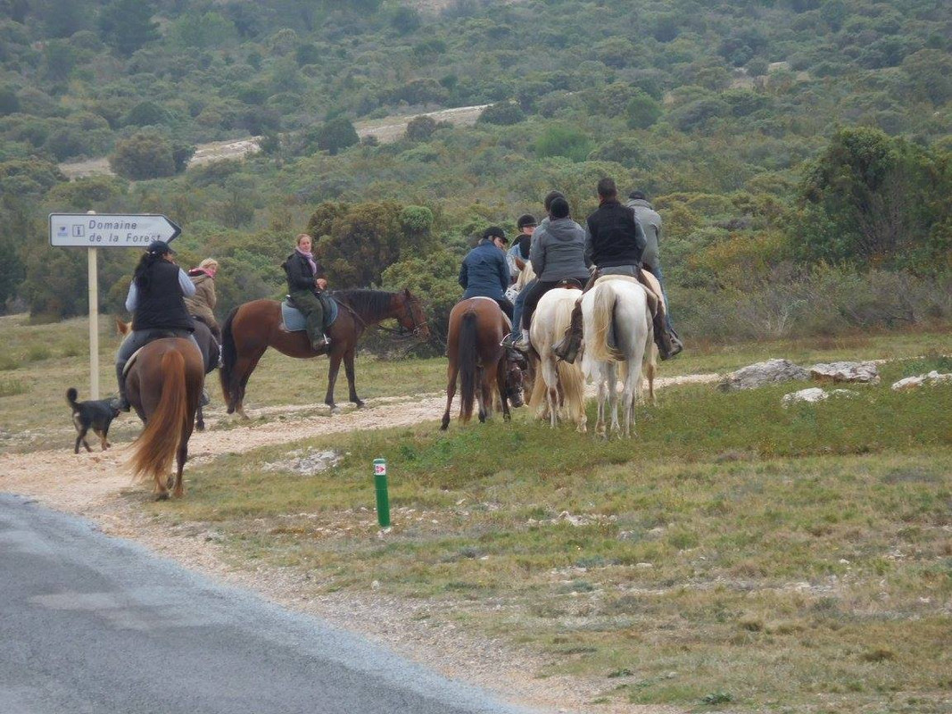 12095160_830946340359791_159598055550410483_o