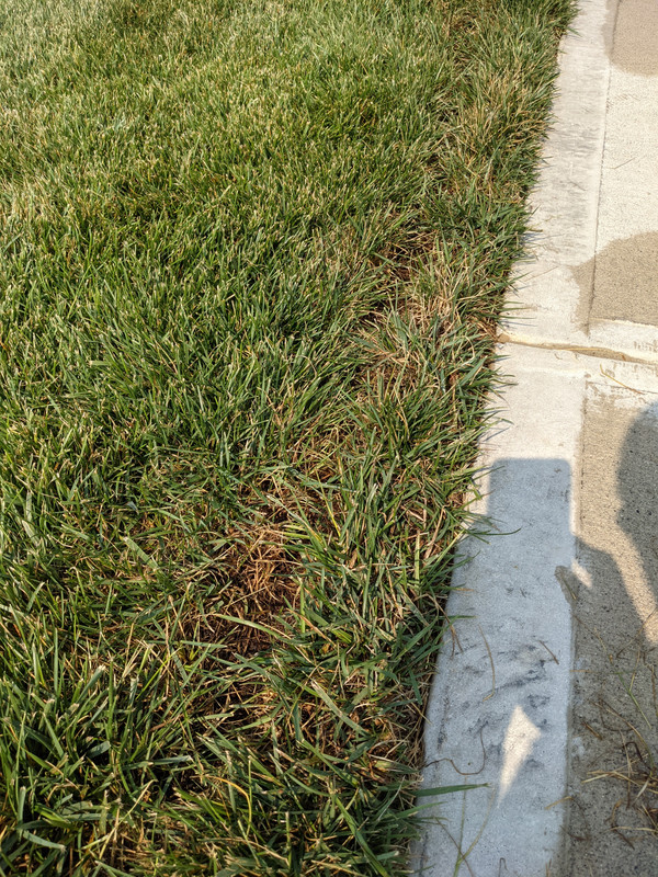 PXL_20210806_203202450