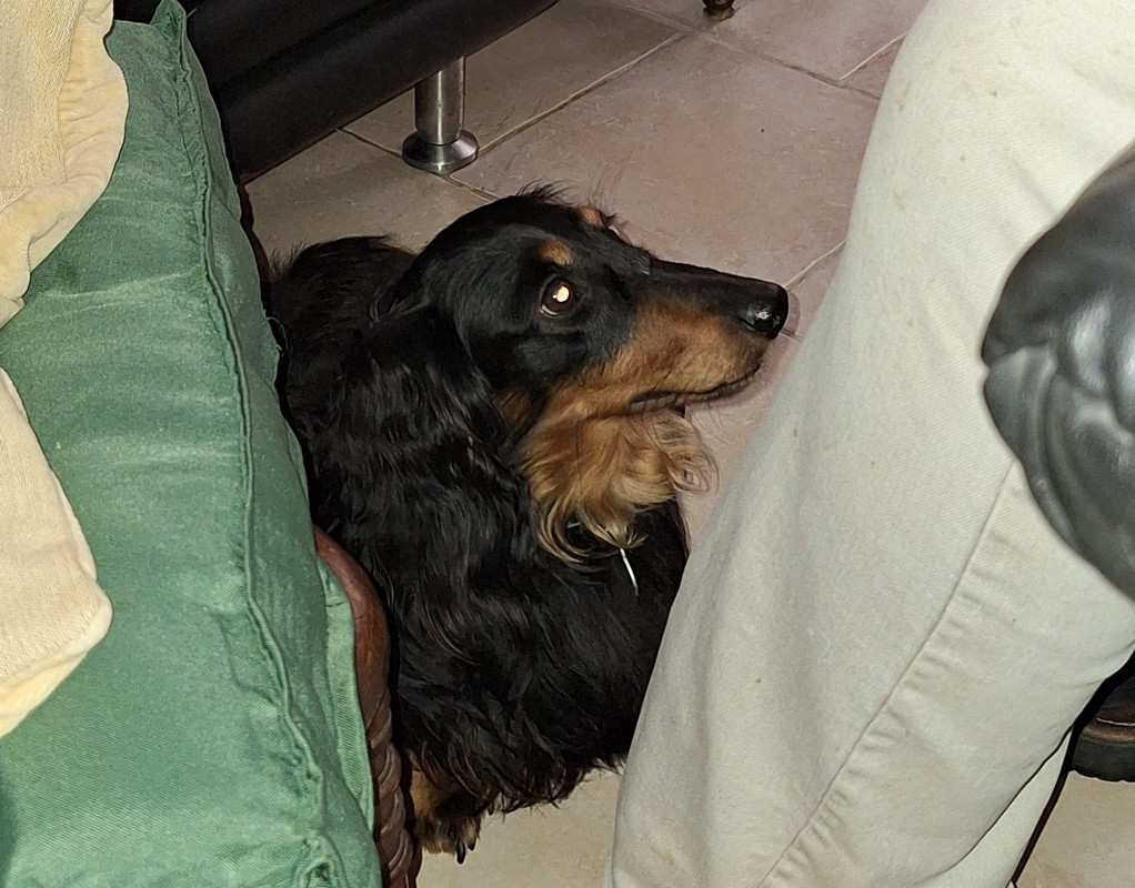 [Image: 20240614-131233.jpg]